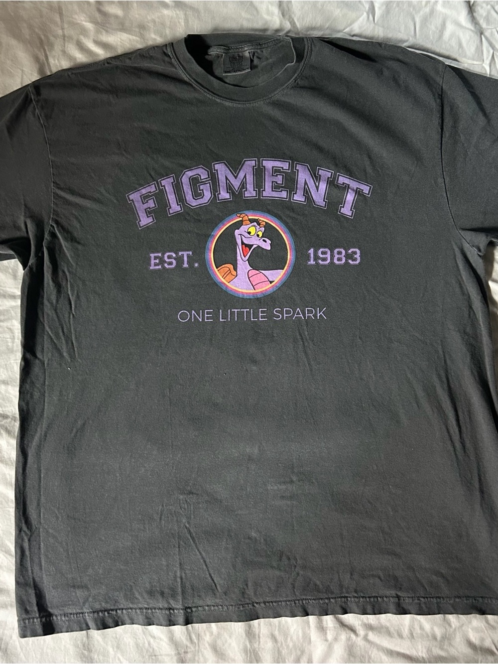Figment Comfort Colors Grey Tee- Epcot 2XL